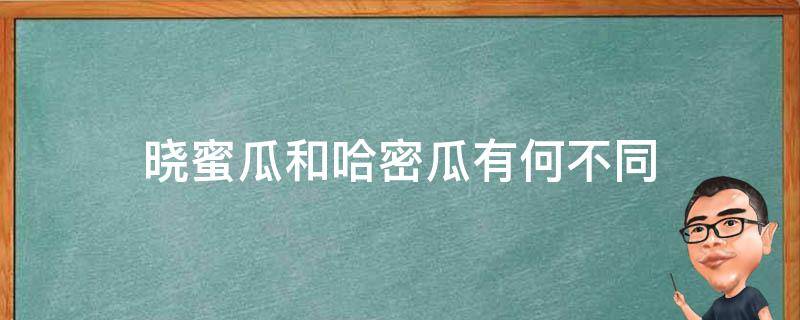 晓蜜瓜和哈密瓜 区别(哈密瓜和晓蜜有什么区别)