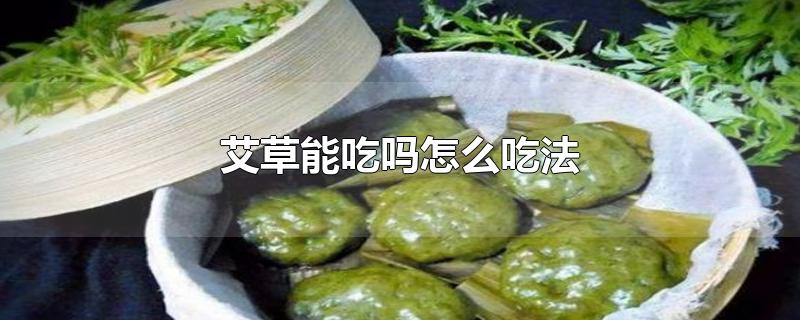 艾草能吃吗怎么吃法(可以吃的艾草)