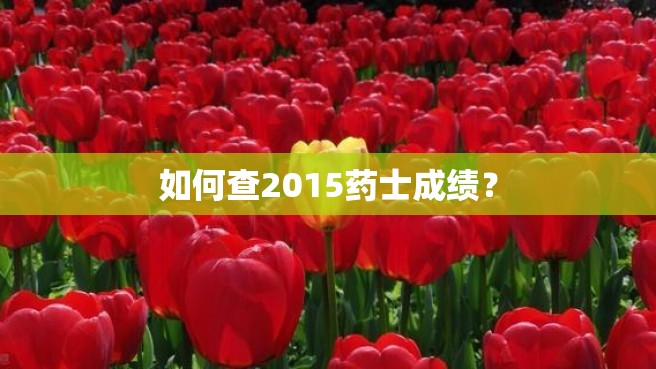 如何查2015药士成绩？