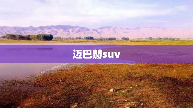 迈巴赫suv