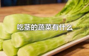 吃茎的蔬菜有什么菜(根茎类蔬菜有哪些)