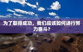 为了取得成功，我们应该如何进行努力奋斗？