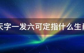 天字一发六可定指什么生肖注意一三五发财(天字一发六可定猜生肖)