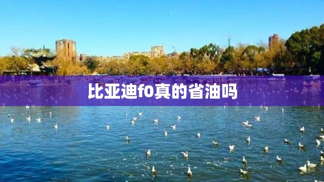 比亚迪f0真的省油吗