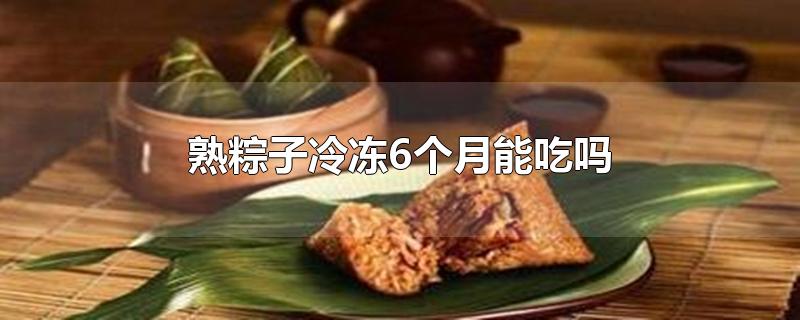 冷冻几个月的粽子还可以吃吗(粽子冷冻时间长了可以吃吗)