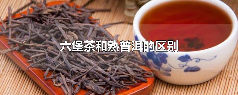 六堡茶和熟普洱的区别(六堡茶与普洱熟茶口感一样)