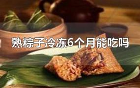 冷冻几个月的粽子还可以吃吗(粽子冷冻时间长了可以吃吗)