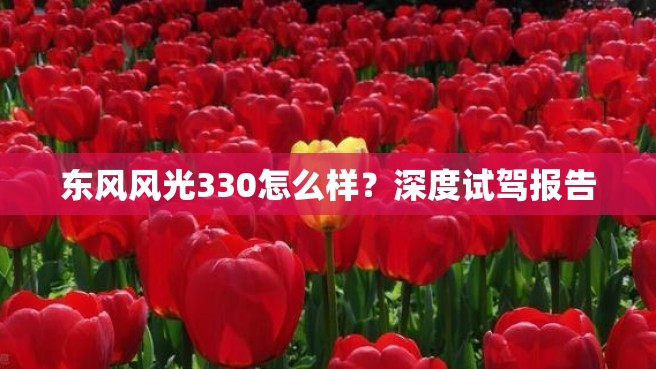 东风风光330怎么样？深度试驾报告