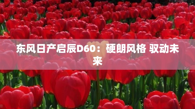 东风日产启辰D60：硬朗风格 驭动未来