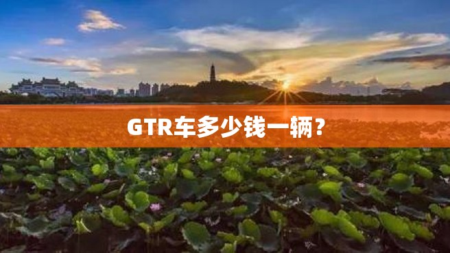 GTR车多少钱一辆？