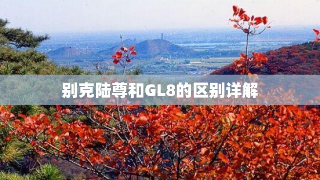 别克陆尊和GL8的区别详解