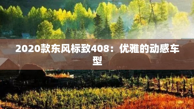 2020款东风标致408：优雅的动感车型