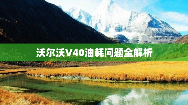 沃尔沃V40油耗问题全解析