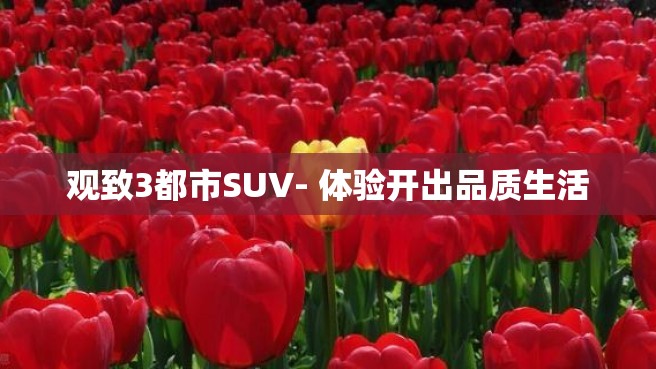 观致3都市SUV- 体验开出品质生活