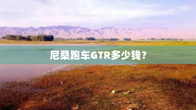 尼桑跑车GTR多少钱？