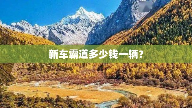 新车霸道多少钱一辆？