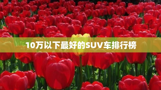 10万以下最好的SUV车排行榜