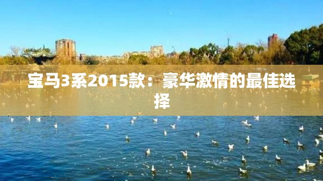 宝马3系2015款：豪华激情的最佳选择