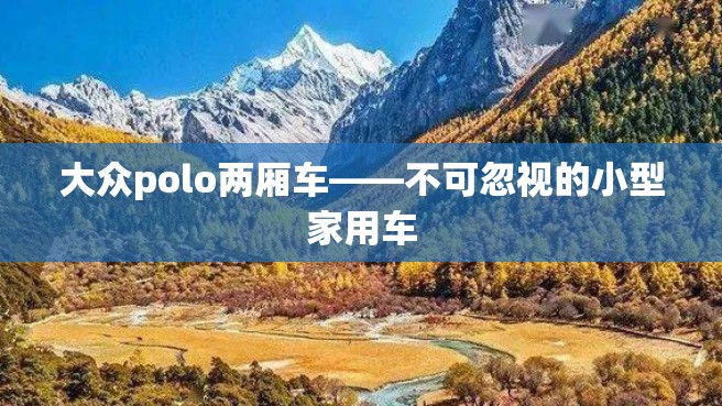 大众polo两厢车——不可忽视的小型家用车