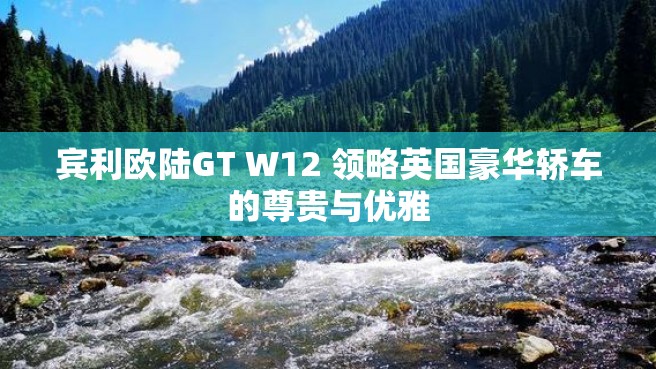 宾利欧陆GT W12 领略英国豪华轿车的尊贵与优雅