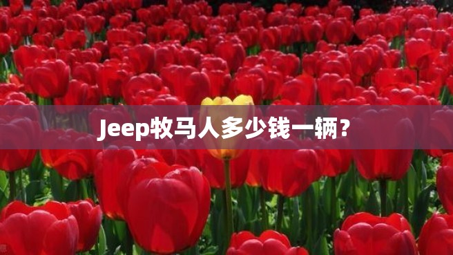 Jeep牧马人多少钱一辆？