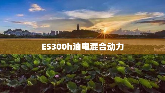 ES300h油电混合动力