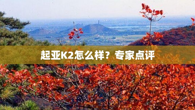 起亚K2怎么样？专家点评