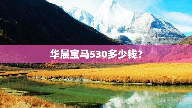 华晨宝马530多少钱？