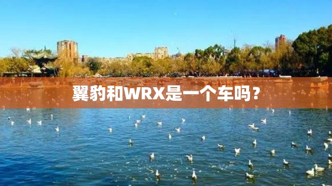 翼豹和WRX是一个车吗？