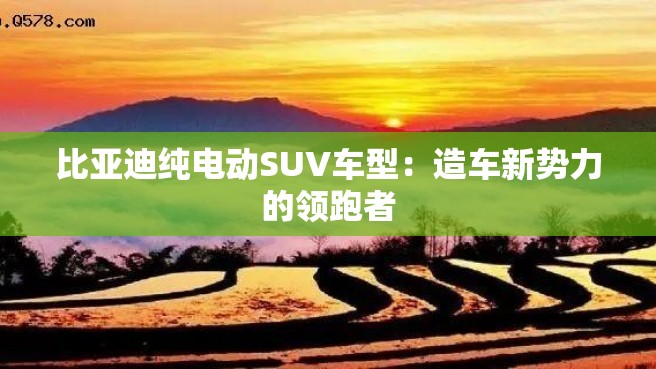 比亚迪纯电动SUV车型：造车新势力的领跑者