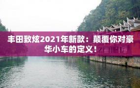 丰田致炫2021年新款：颠覆你对豪华小车的定义！