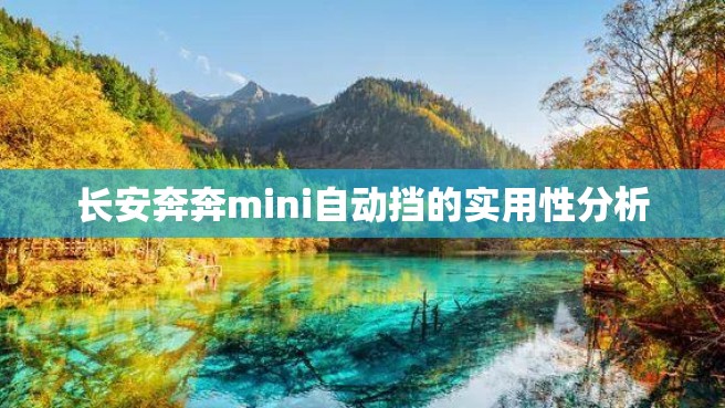 长安奔奔mini自动挡的实用性分析