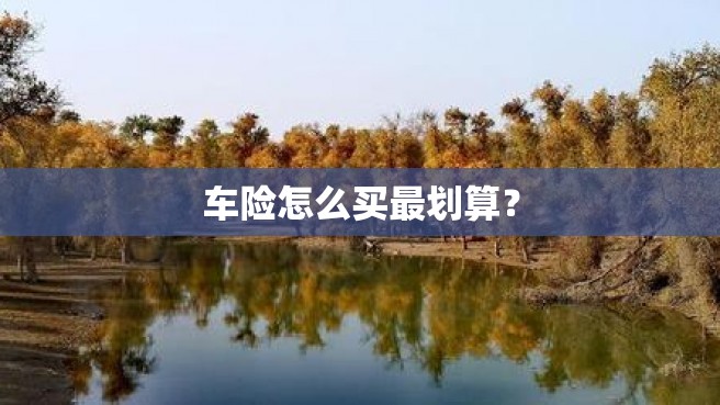 车险怎么买最划算？