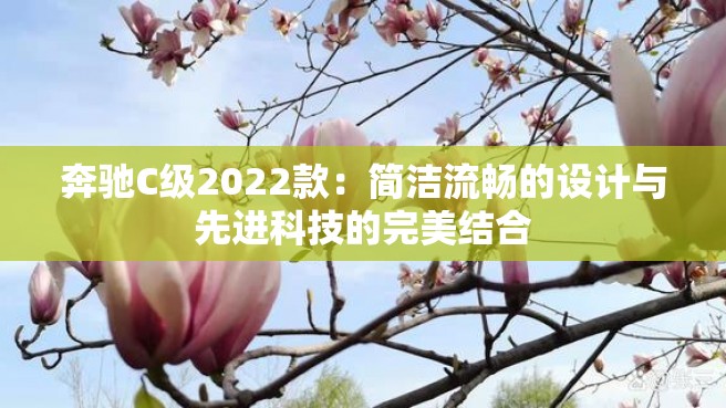 奔驰C级2022款：简洁流畅的设计与先进科技的完美结合