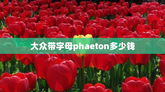 大众带字母phaeton多少钱