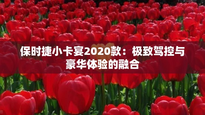 保时捷小卡宴2020款：极致驾控与豪华体验的融合