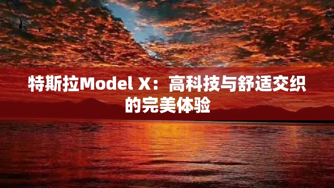 特斯拉Model X：高科技与舒适交织的完美体验