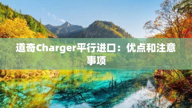 道奇Charger平行进口：优点和注意事项