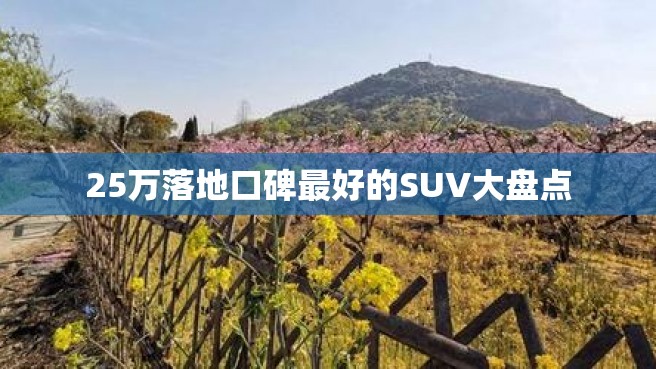 25万落地口碑最好的SUV大盘点