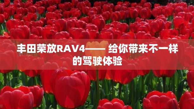 丰田荣放RAV4—— 给你带来不一样的驾驶体验