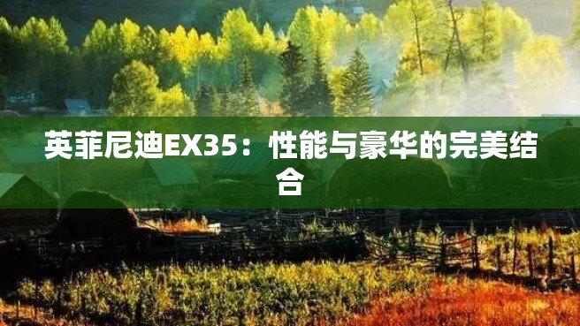 英菲尼迪EX35：性能与豪华的完美结合