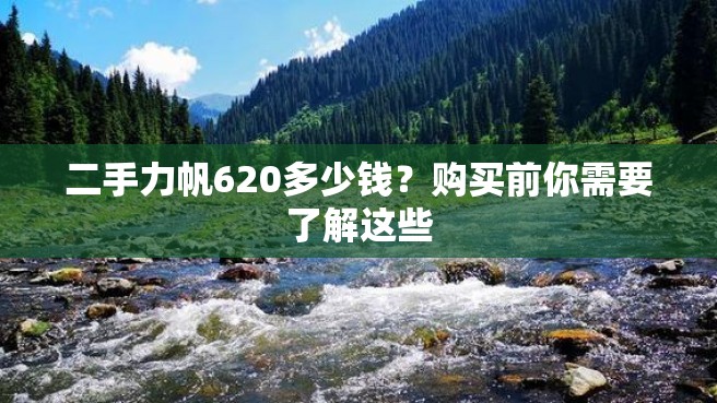 二手力帆620多少钱？购买前你需要了解这些