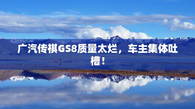 广汽传祺GS8质量太烂，车主集体吐槽！