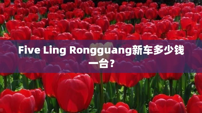 Five Ling Rongguang新车多少钱一台？