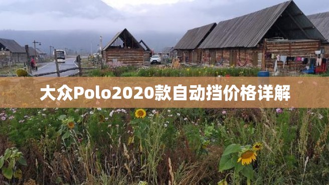 大众Polo2020款自动挡价格详解