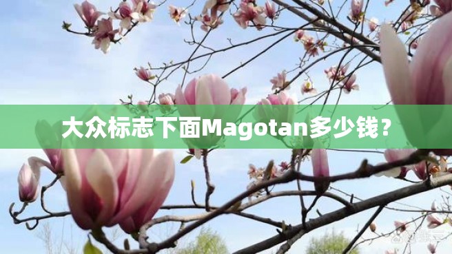 大众标志下面Magotan多少钱？