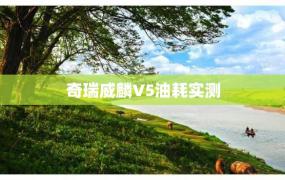 奇瑞威麟V5油耗实测