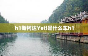 h1斯柯达Yeti是什么车h1