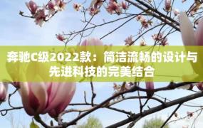 奔驰C级2022款：简洁流畅的设计与先进科技的完美结合