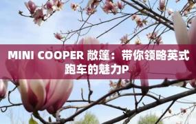 MINI COOPER 敞篷：带你领略英式跑车的魅力P